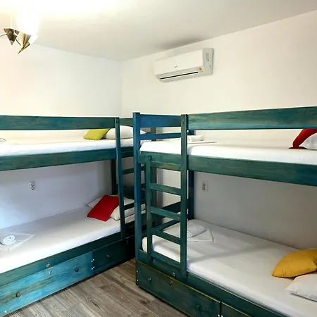 Hostel White Rabbit