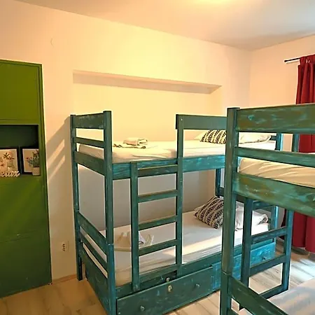 White Rabbit Albergue *