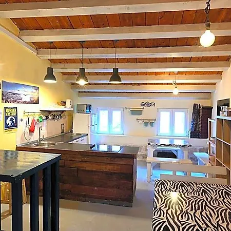 Hostel White Rabbit *