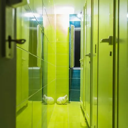 White Rabbit Hostel