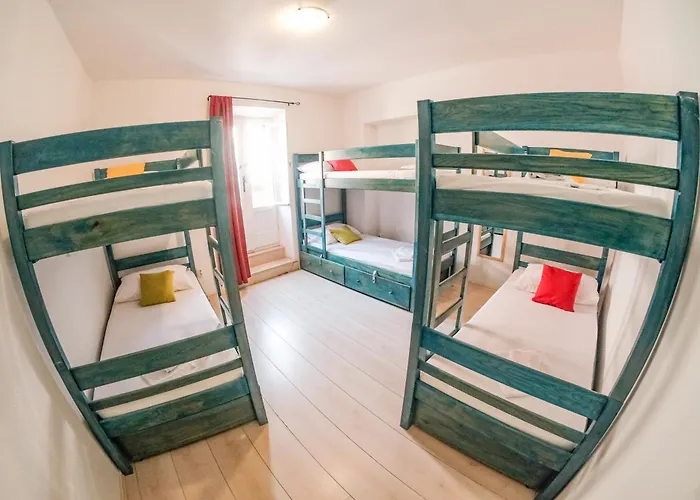 Hostel White Rabbit *